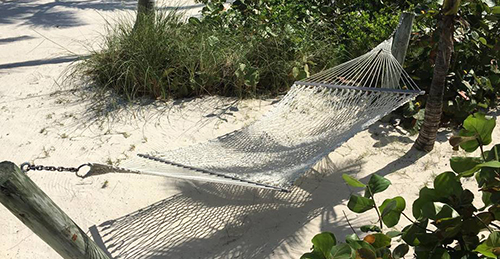 hammock