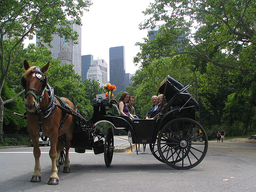 Protecting Central Park pavement with PMA